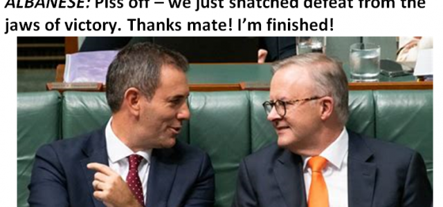 Albo's finished