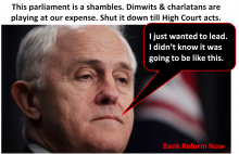 Malcom Turnbull - leader of dimwits & charlatans