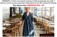Save businesses - let them hibernate